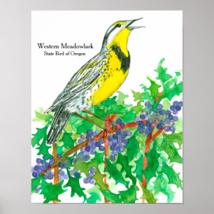 Póster Ave acuarela de Meadowlark Occidental