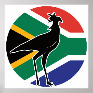 Póster Ave africana de la Secretaría de Aves de Sudáfrica