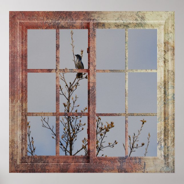 Póster Ave azul en la ventana (Frente)