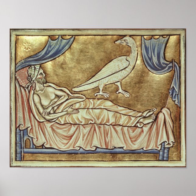 Póster Ave Caladrius, de quien se dice que pronostica (Frente)