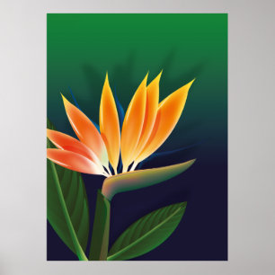 Póster Ave de la flor del paraíso