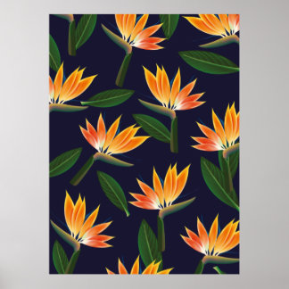 Póster Ave de la flor del paraíso