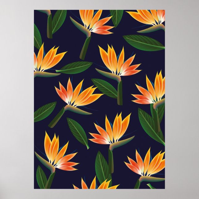 Póster Ave de la flor del paraíso (Frente)