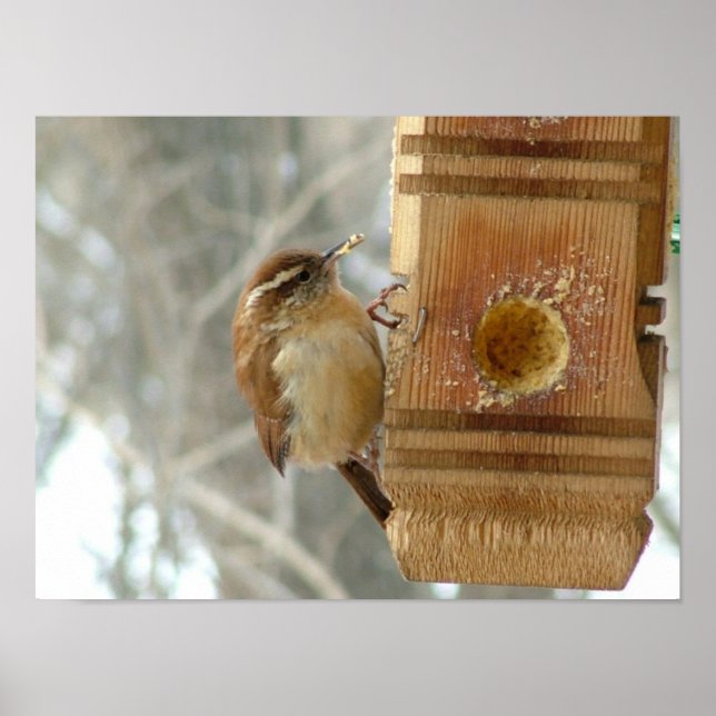 Póster Ave de mantequilla de cacahuete (Frente)