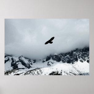 Póster Ave De Montaña Con Tapa De Nieve Publicada