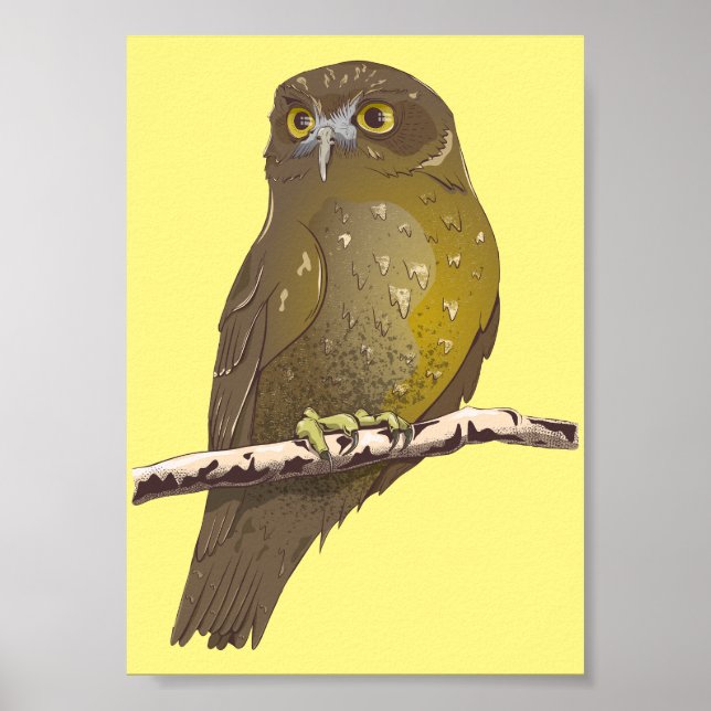 Póster Ave de Morepork RURU NZ (Frente)