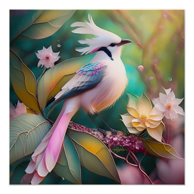 Póster Ave de Rubor con cresta blanca Jay Fantasy (Anverso)