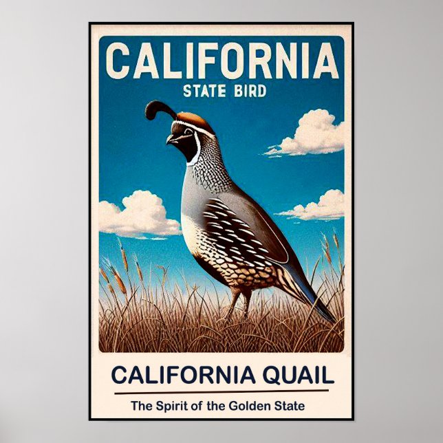 Póster Ave del Estado de California - California Quail Vi (Frente)