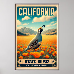 Póster Ave del Estado de California - California Quail Vi