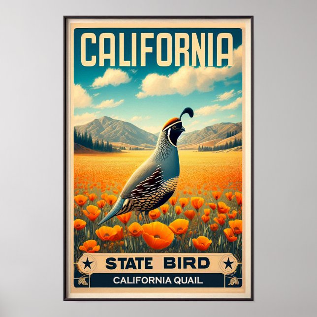 Póster Ave del Estado de California - California Quail Vi (Frente)