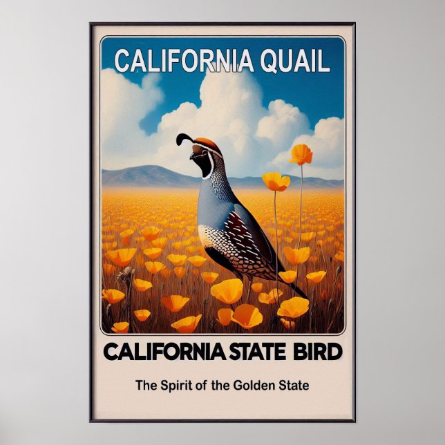 Póster Ave del Estado de California - California Quail Vi (Frente)
