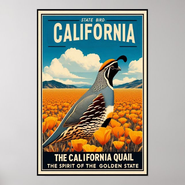 Póster Ave del Estado de California - California Quail Vi (Frente)