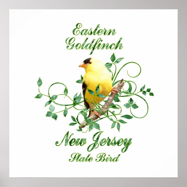 Póster Ave del estado de Goldfinch New Jersey (Frente)