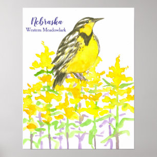 Póster Ave del estado de Nebraska Occidental Meadowlark