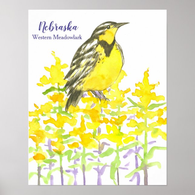 Póster Ave del estado de Nebraska Occidental Meadowlark (Frente)