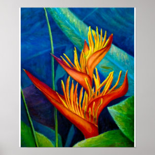 Póster Ave del paraíso
