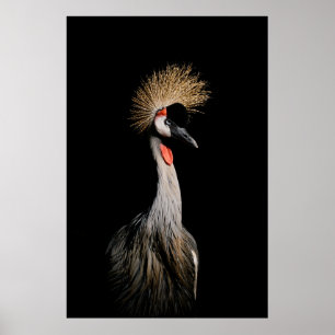 PÓSTER AVE EN BRASIL