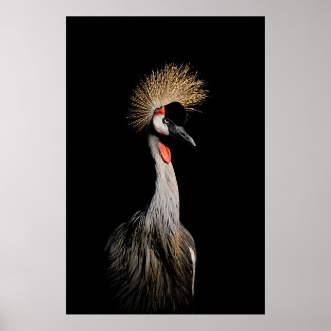 PÓSTER AVE EN BRASIL (Frente)