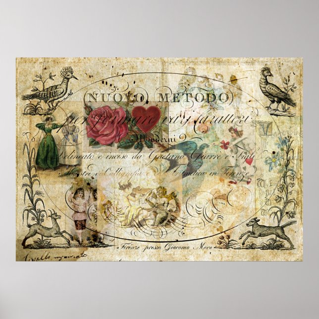 Póster Ave en la mano (Frente)