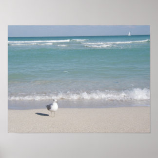 Póster Ave en la playa