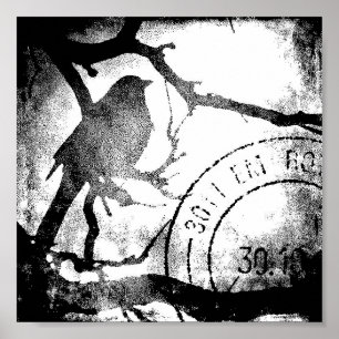 Póster Ave en una rama monocroma