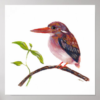 Póster Ave endémica del enano Kingfisher en Filipinas