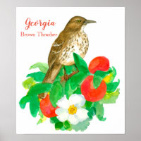 Ave estatal de Georgia Brown Thrasher