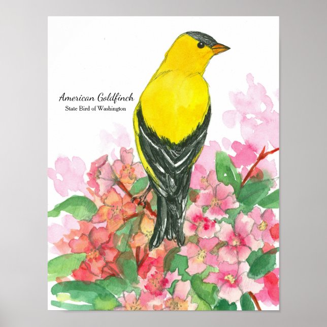 Póster Ave estatal del amarillo goldfinch de Washington (Frente)