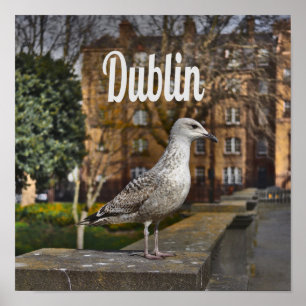 Póster Ave irlandesa en Dublín en la pared de ladrillos