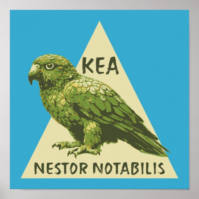 Póster ave Kea de Nueva Zelanda (Frente)