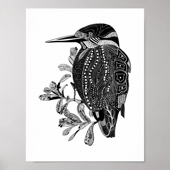 Póster Ave kingfisher Kookaburra (Frente)