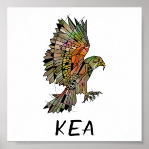 Póster Ave nativa de Kea