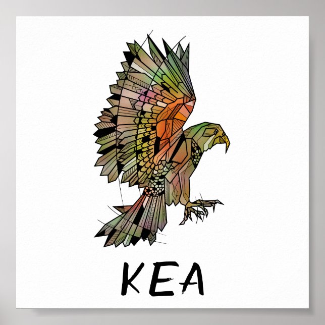 Póster Ave nativa de Kea (Frente)
