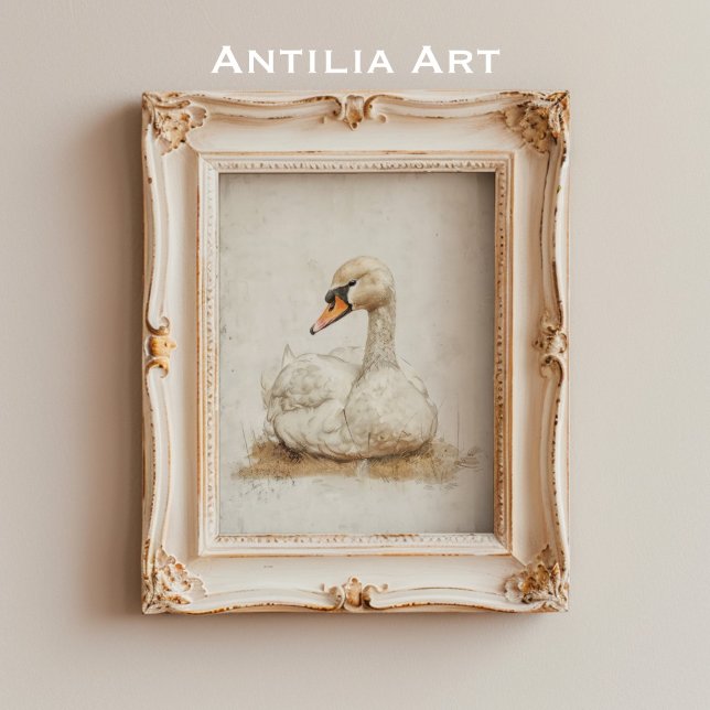 Póster Ave rústica solitaria de la pintura de cisne (Subido por el creador)