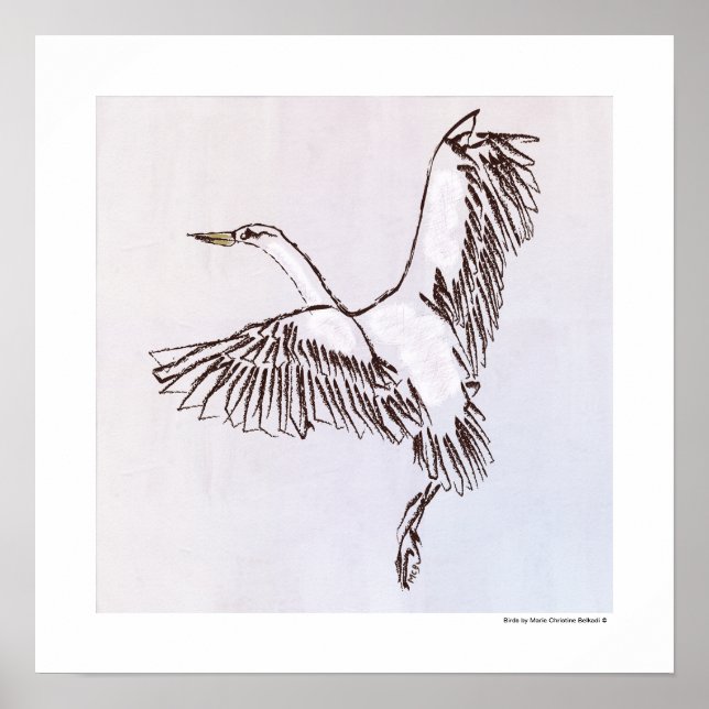 Póster Ave Volando El Polvoriento ilustracion Del Cielo G (Frente)