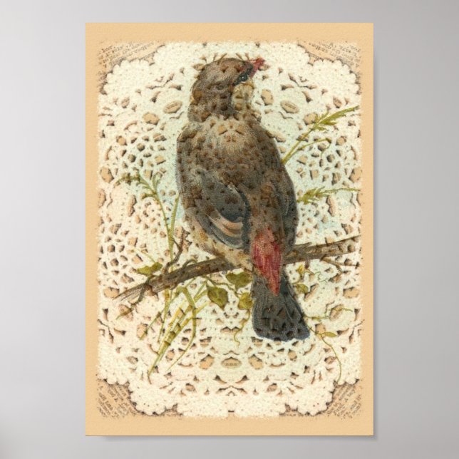 Póster Ave y Doilie Vintage (Frente)