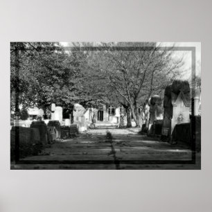 Póster Avenida