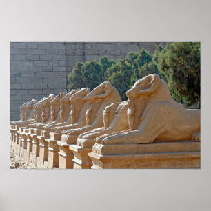 Póster Avenida de las esfinges en el templo de Karnak - E