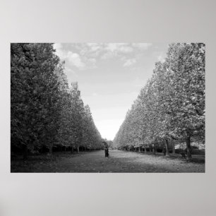 Póster Avenida de los Árboles del Avión: Tokio (blanco/ne