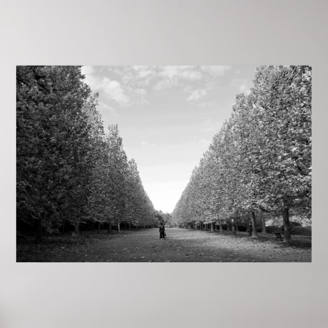 Póster Avenida de los Árboles del Avión: Tokio (blanco/ne (Frente)