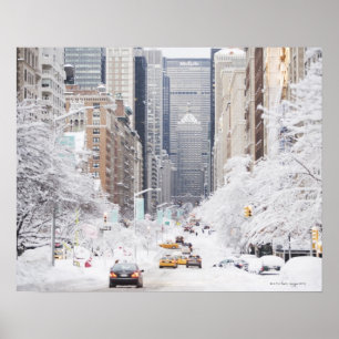 Póster Avenida Park