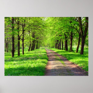 Póster avenida primavera