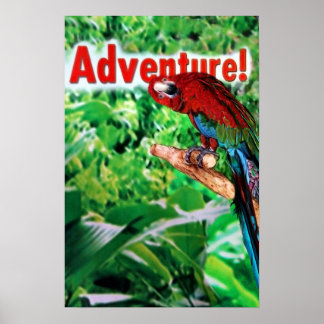 Póster Aventura