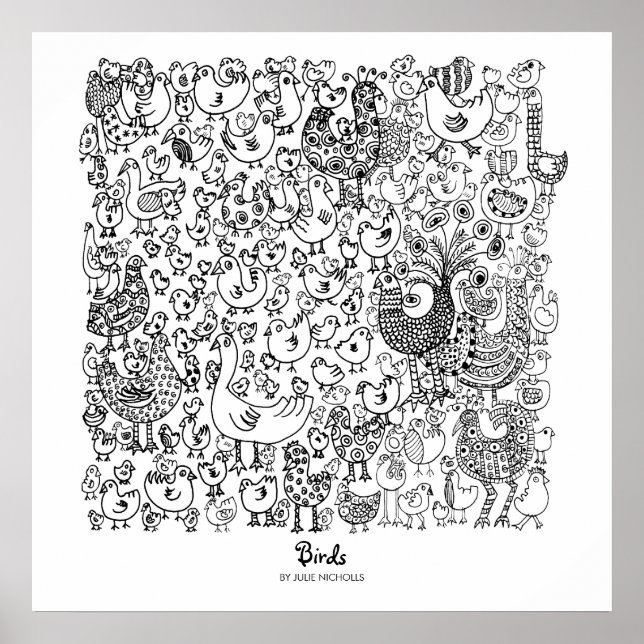 Póster Aves (Frente)