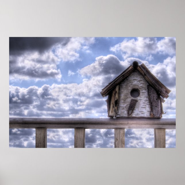 Póster Aves (Frente)