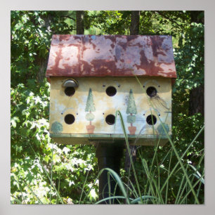 Póster Aves