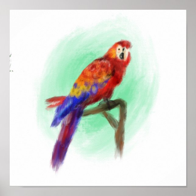 Póster Aves 3 (Frente)