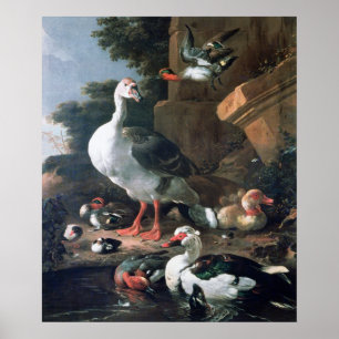 Póster Aves acuáticas en un paisaje clásico, siglo XVII