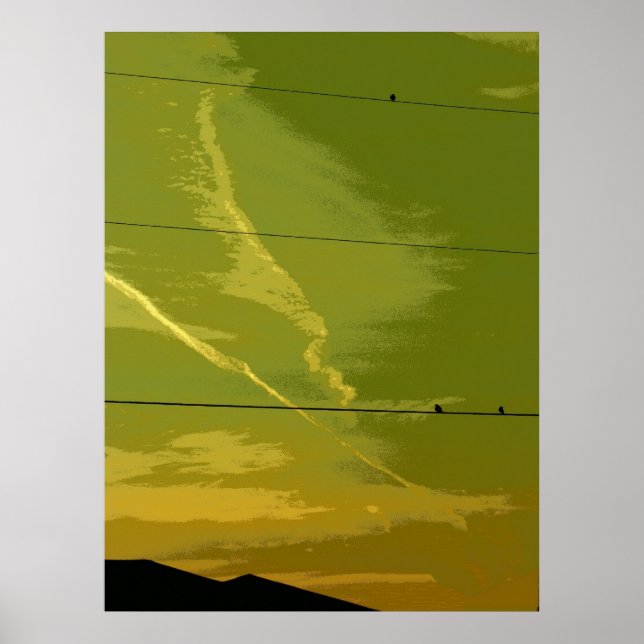 Póster Aves al atardecer (Frente)