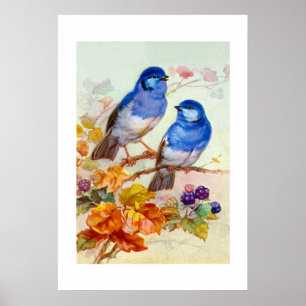 Póster Aves azules